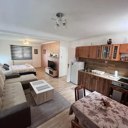 Nikolic Apartamento *
