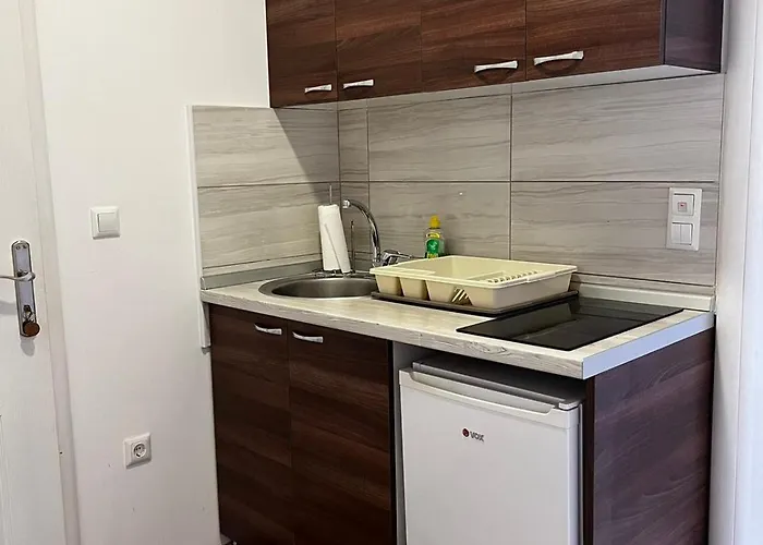 Daire Nikolic Višegrad